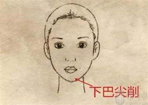 下巴尖的人 面相|女人下巴的面相解析 女人下巴的面相图解